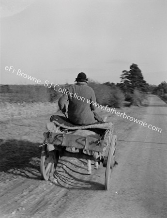 WOMAN, DONKEY AND CART